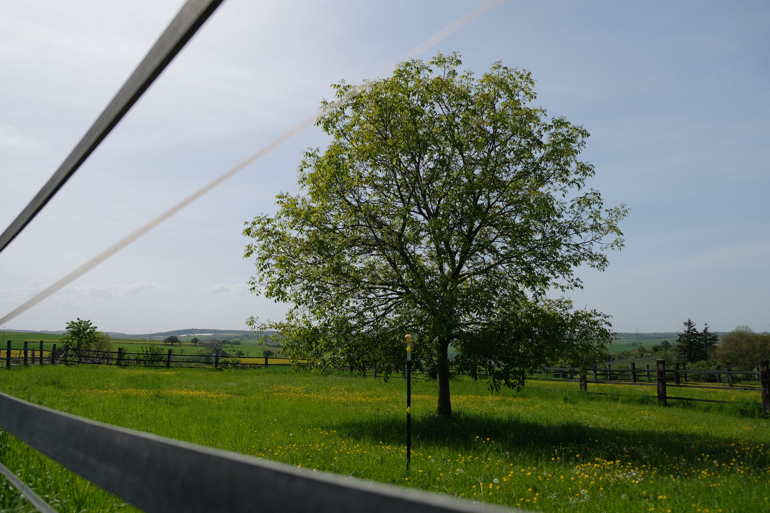 Koppeln