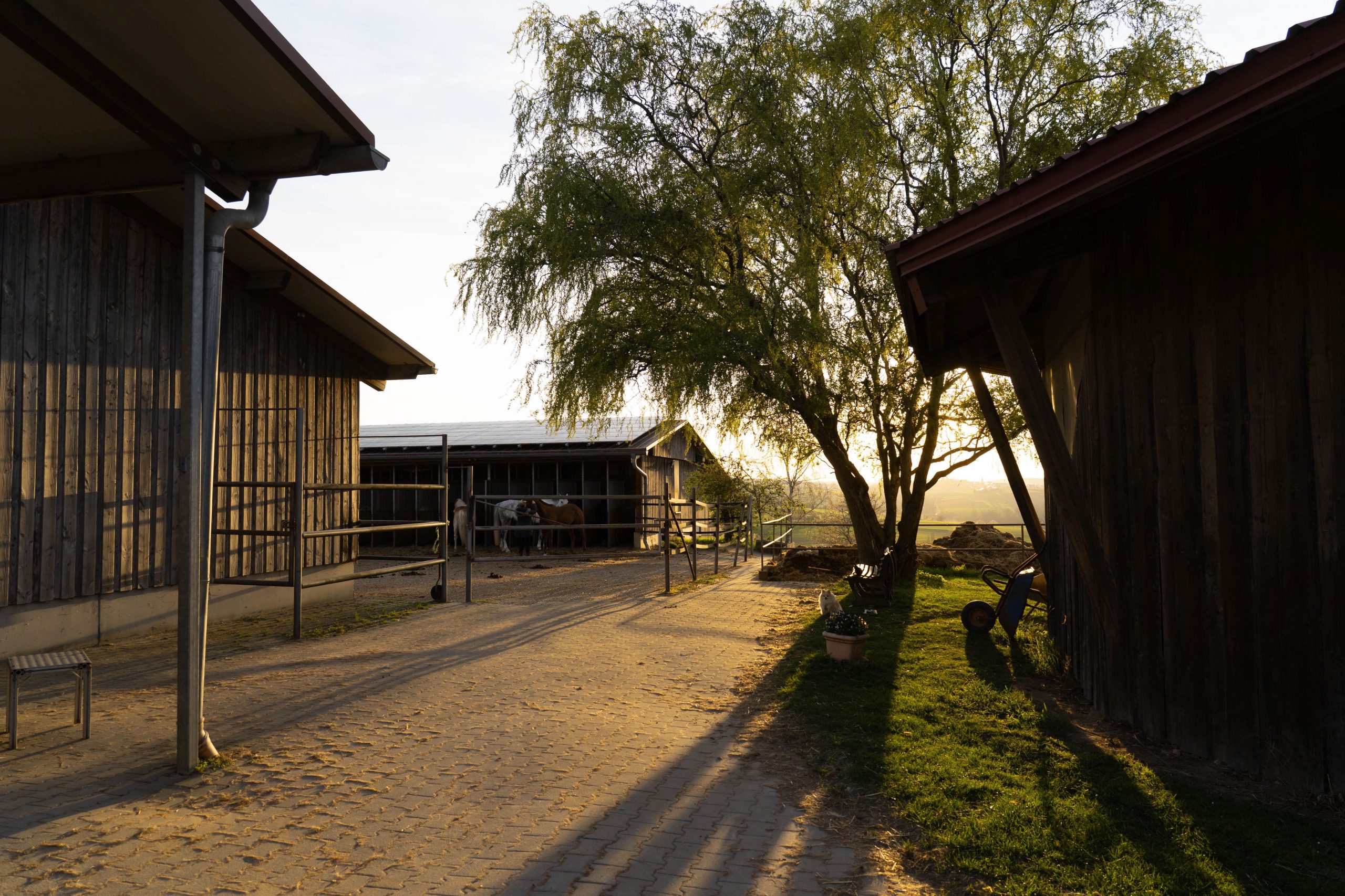 Die Anlage vom Pferdehof Schwerdtle