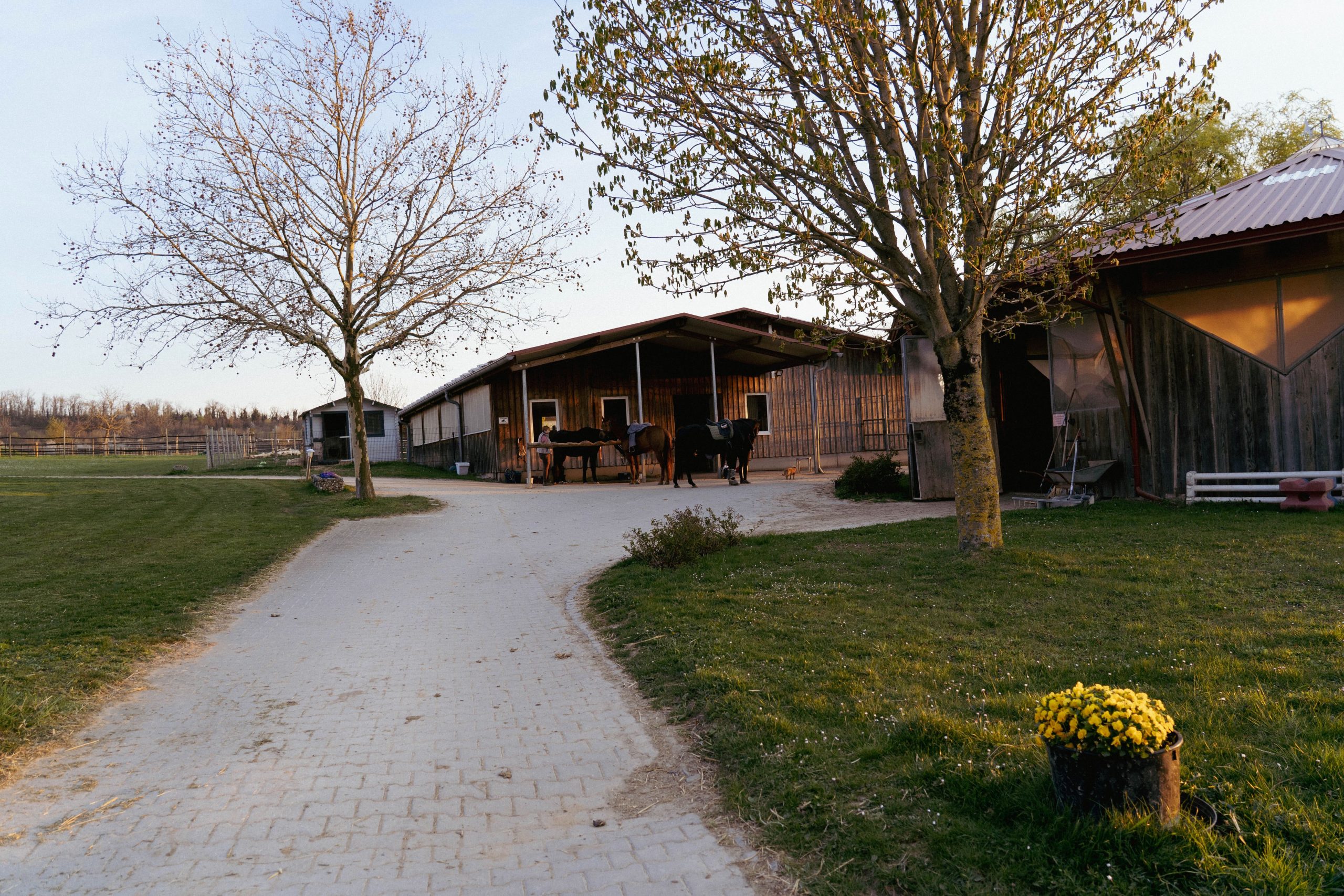 Die Anlage vom Pferdehof Schwerdtle
